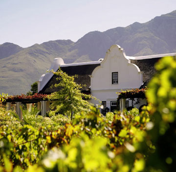  Winetasting in Südafrika